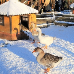 vqNVXkMndrIn3Dw_H6qejnfloGm-gFurL0WgRsJfsye6v4pyps_2B9DzVfWmJAseYpDCYXbG9rk-BGhBjuwsc0Tu vqNVXkMndrIn3Dw_H6qejnfloGm-gFurL0WgRsJfsye6v4pyps_2B9DzVfWmJAseYpDCYXbG9rk-BGhBjuwsc0Tu