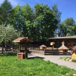 VWD47DrBGlU