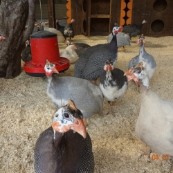 AQQJ9rsGDS6KkRAdlCBILuKBsgi3NhfEIrJ7vreC7aZsAacVbh4R1Y-kMIqkA3rHWhLsKIx0xCnyZJCVqdgAoxFj