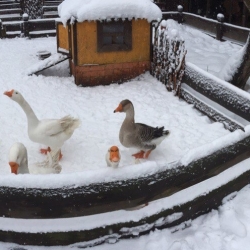 DECJHmQPPUsyo5Nl04s77hqu_7ZPMF1ksAWkpznXVgql6FNluODbWhj9OeICTeXaxwdvcgtsf33CARGBw7Pfi57q