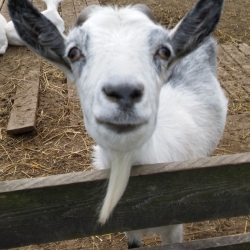 ZVhTW9ejJzTuqFPPMtXiVgkz10iQS0chPeDPoKdO5V57OYKQ6WXLx5GTbyVFF9-SPNuu3-WmBMhQbpHMknLIwKMx