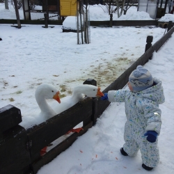 xzZ65adiY3Gdp3deV71fVegluJMrCS6KrcVIFQIN55XuSbnPC0UFLAxdywzfVVZURmPApZ8V2wF3GKe2H35I3-A_